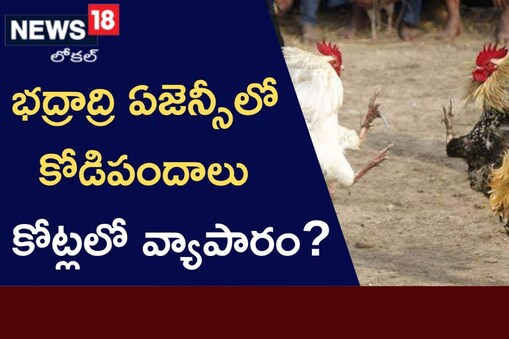 జోరుగా కోడిపందాలు