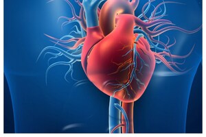 Heart blockges: హార్ట్ బ్లాకేజీలకు ప్రధాన కారణం.. తగ్గించుకునే మార్గం..
