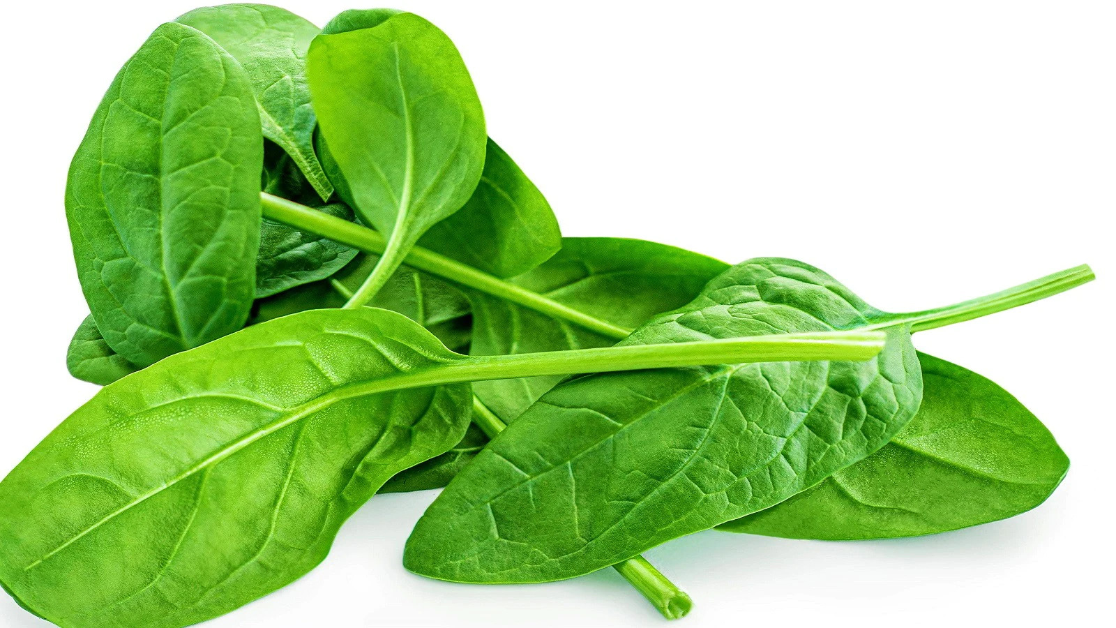 Spinach: పాలకూర ఆరోగ్యానికి మంచిదే.. కానీ ఎక్కువ తీసుకుంటే మంచిది కాదట ...