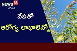 Health Benefits: తింటే చేదుగా ఉంటుంది..? కానీ ఎన్ని ప్రయోజనాలో తెలుసా..?