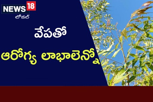 వేపతో ఎన్ని ప్రయోజనాలో తెలుసా?