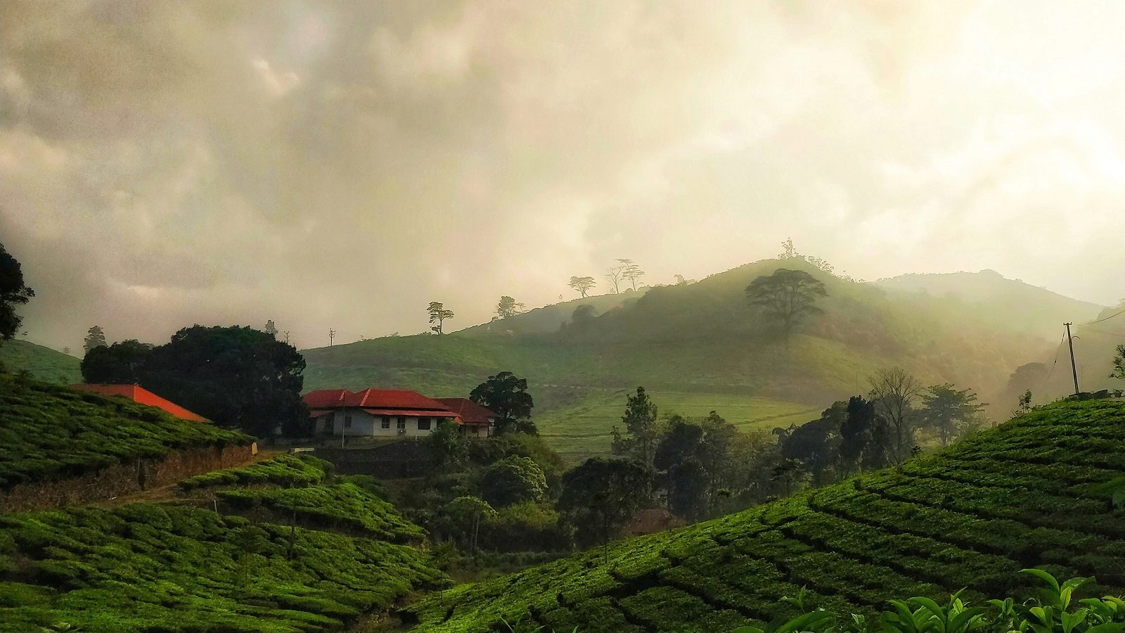 IRCTC Tourism offers train tour package to Kerala from Hyderabad just under Rs 12000 IRCTC