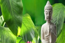 Fengshui: ఈ వస్తువు మీ ఇంట్లో ఉంటే.. మీ ఇంటికి 3 లాభాలు.. Fengshui: ఈ వస్తువు మీ ఇంట్లో ఉంటే.. మీ ఇంటికి 3 లాభాలు..