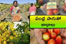 Agri News : పండ్ల సాగుతో లాభాలు.. జాతీయ అవార్డ్ గెలుచుకున్న మహిళా రైతు
