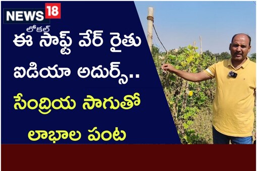 కర్నూలులో