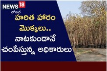 హరితహారం మొక్కలు.. నాటకుండానే చంపేస్తున్న అధికారులు