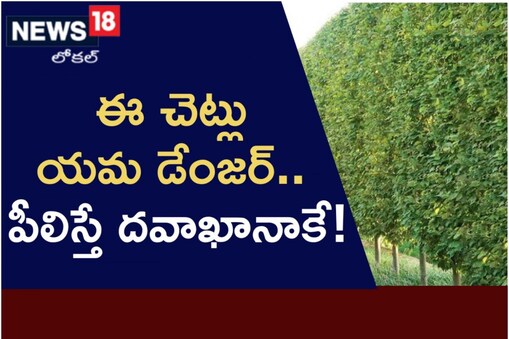 పర్యావరణానికి