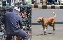 ఢిల్లీ పార్కులో వీధి కుక్కపై వ్యక్తి అత్యాచారం..వైరల్ అవుతున్న వీడియో