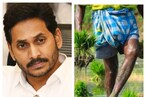 YSR Rythu Bharosa: ఏపీ రైతులకు గుడ్ న్యూస్..నేడే అకౌంట్లోకి రూ.5,500