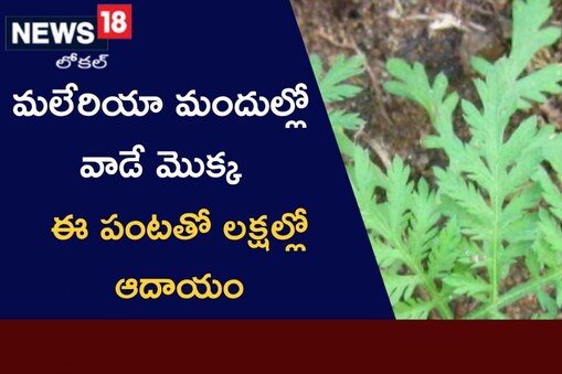 ప్రతీకాత్మక చిత్రం