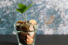 Money Plant: ధనం కోసం ఇంట్లో మనీ ప్లాంట్ పెట్టాలనుకుంటున్నారా..? అయితే ఈ టిప్ప్‌ ఫాలో అవ్వ