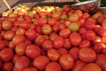 Tomato: కేజీ టమాటా రూ.2,000. ఇలా అయితే కష్టం! ఎక్కడంటే.?