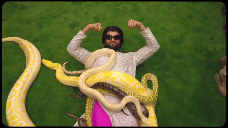  పులి పిల్లలకు పాలు పట్టించడం, సింహపు పిల్లల్ని వెంట తిప్పుకోవడం, సింహంతో డూ ఆర్ డై ఆటలాడటం వంటి వీడియోని తన ఇన్‌స్టాగ్రామ్‌ హ్యాండిల్‌లో షేర్ చేసుకున్నాడు విజయ్ దేవరకొండ. (Photo:Instagram)