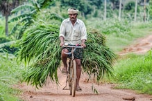 PM Kisan: అదే జరిగితే రైతుల ఖాతాల్లోకి రూ.12,000... అన్నదాతలకు పండగే