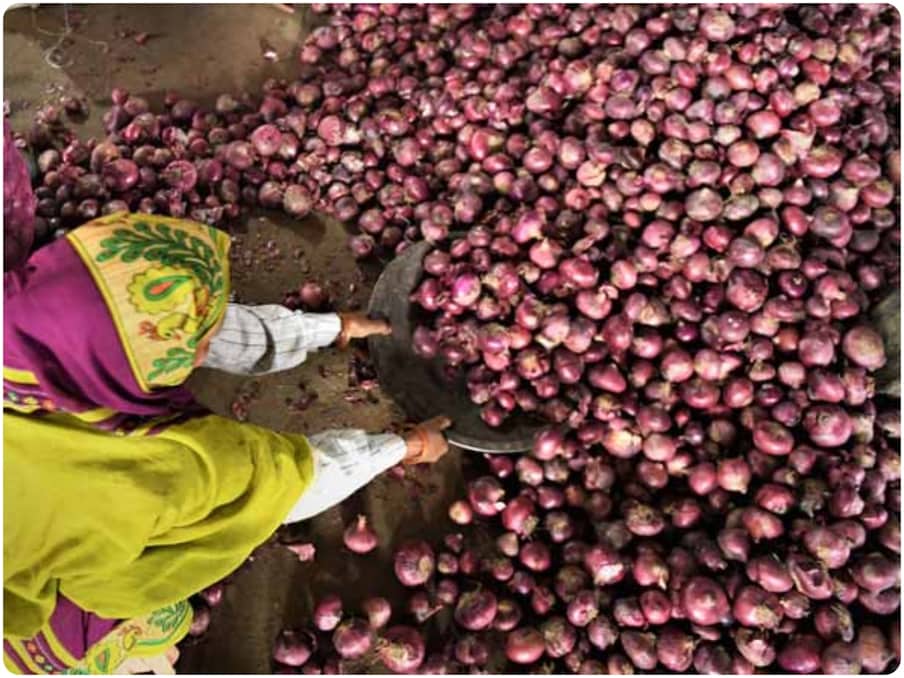 Currently onion is used more for ready to eat food like pizza, salad, poha. They can use onion powder. People in India are less aware of this. Hence this business is not known to many people. If you start.. you won't have much competition.