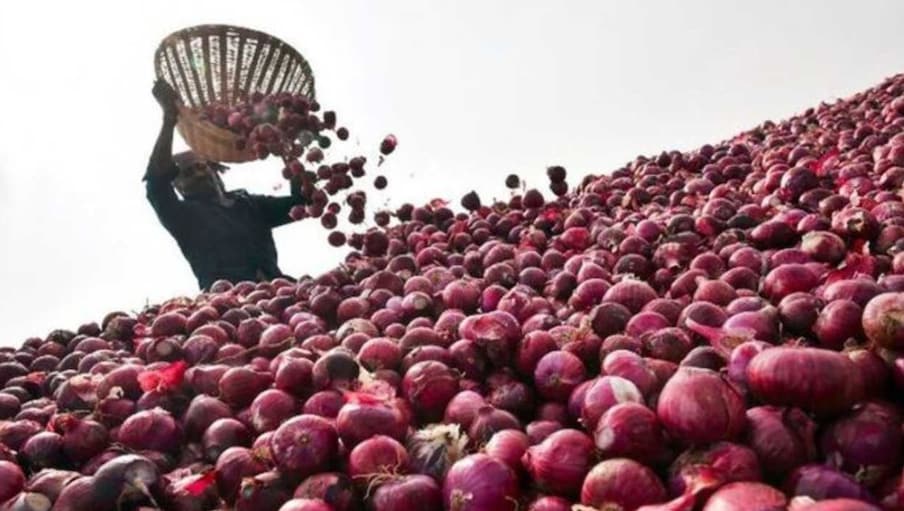 You can dry dehydrated onion by grinding it in a grinder. You can sell this powder in packs of 100 grams to 250 grams. So you can tie up with a food chain restaurant or even a hotel.
