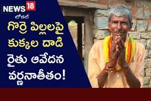 15 గొర్రెలను కరిచి చంపిన కుక్కలు.. ఆదుకోవాలంటూ రైతు కన్నీళ్లు