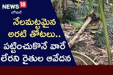 అకాల వర్షాలకు నేలమట్టమైన అరటి తోటలు..రైతుల కన్నీళ్లను తుడిచేదెవ్వరు?