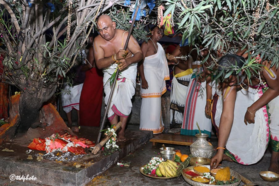  ఈ ఆలయానికి పురాతన, చారిత్రక ప్రాశస్త్యం ఉంది. ఎక్కడా లేని విధంగా ఒకే శిలపై సీతారామ లక్ష్మణ దేవతామూర్తులు ఉండడంతో ఒంటిమిట్టను ఏకశిలానగరం అని కూడా అంటారు. సాధారణంగానే ఒంటిమిట్టల సీతారామలు దర్శనం భాగ్యం ఎంతో పుణ్యం అని భక్తులు భావిస్తారు. అయితే ఈ వార్షిక బ్రహ్మోత్సవాల సమయంలో స్వామిని దర్శించుకుంటే ఎన్నో జన్మల పుణ్యం వస్తుందని నమ్ముతారు.
