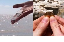 Throwing coins oin river : నదిలో నాణేలు ఎందుకు విసిరేస్తారో తెలుసా? దీని వెనుక సైంటిఫిక్