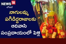 ఘనంగా నాగులమ్మ-పగిడిద్దరాజుల కళ్యాణం.. ఎక్కడో తెలుసా?..