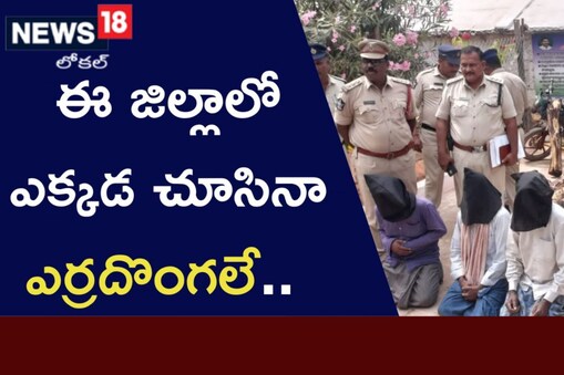 పట్టుబడిన ఎర్రచందనపు దొంగలు