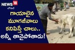 నోరు లేని జీవాలను రక్షిస్తున్న యువకుడు..