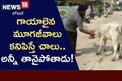 నోరు లేని జీవాలను రక్షిస్తున్న యువకుడు..
