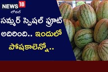 సమ్మర్ స్పెషల్ ఫ్రూట్ అదిరింది.. ఇందులో పోషకాలెన్నో..