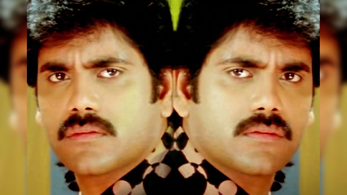 Nagarjuna: ‘హలో బ్రదర్’ కంటే ముందు నాగార్జున డ్యూయల్ రోల్లో నటించిన ఈ మూవీ తెలుసా..