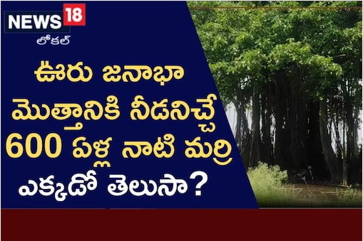 పెద్దపల్లి