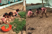 పాఠశాల ఆవరణలో వ్యవసాయం..విద్యార్ధులే  రైతులు..అదెక్కడా..? ఎలాగో చూడండి