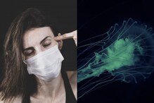 Brain eating: ఈ రూపంలేని సూక్ష్మజీవి మనిషి మెదడును తినేస్తుందని తెలుసా? నీటిలోనే ఉంటుంది!