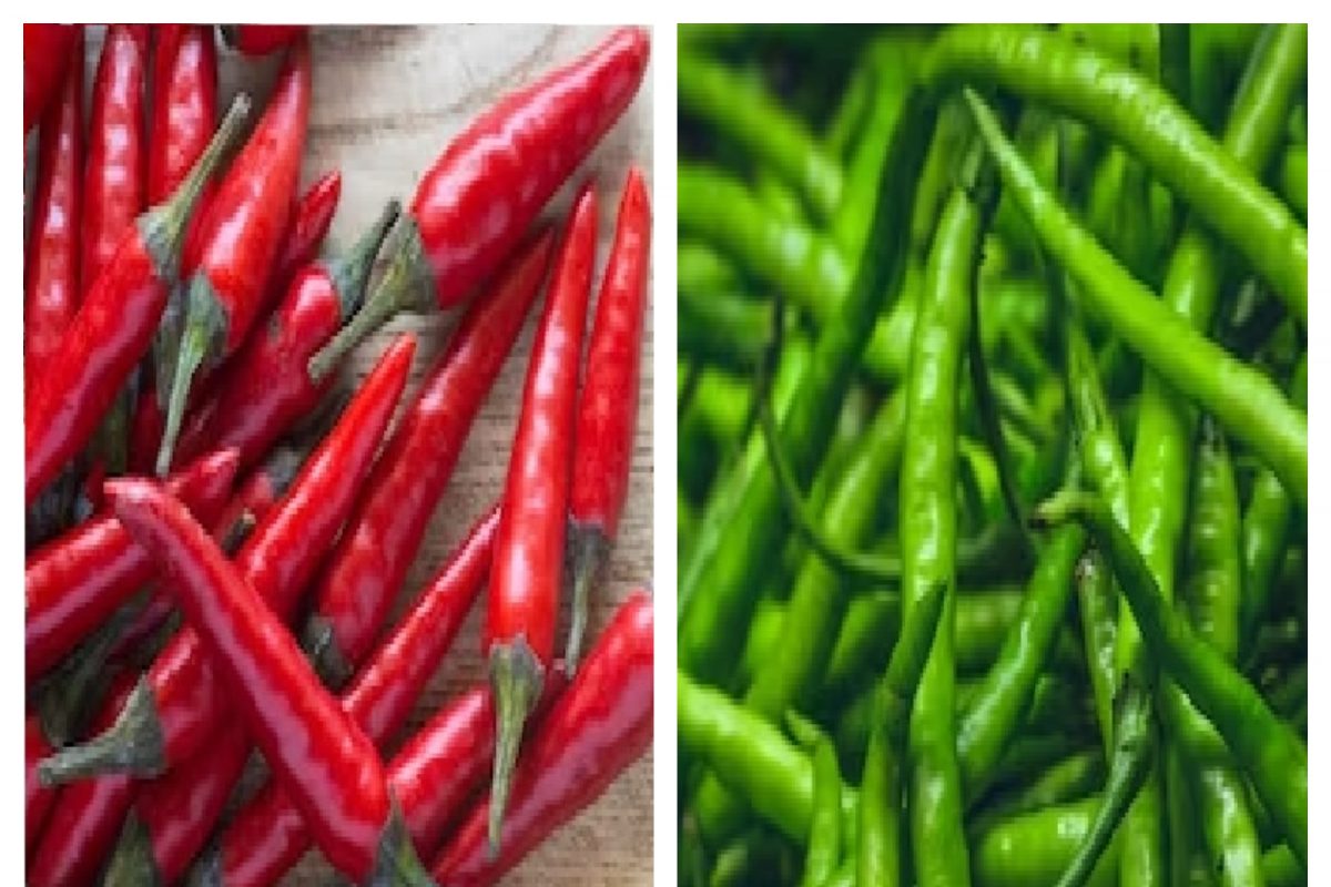 Red Chili Vs Green Chili: పచ్చి మిరపకాయ లేదా ఎర్ర మిరపకాయ ఏది ...