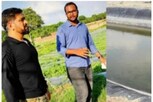 MS Dhoni: చేపల వ్యాపారంలోకి ఎంఎస్ ధోనీ.. రెండు చెరువుల్లో భారీ ఎత్తున చేపల సాగు..