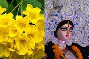 Navaratri: ఈ పూలతో అమ్మవారిని పూజిస్తే ఆ దోషాలు తొలగిపోతాయి! మీ కోరికలు నెరవేరినట్టే!