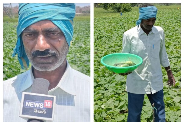 Business Idea: కీరదోసతో రూ.2 లక్షల ఆదాయం..ఎలాగంటే?