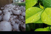 Hyderabad Rain : హైదరాబాద్‌లో వడగళ్ల వాన.. ఏపీ, తెలంగాణకు అలర్ట్