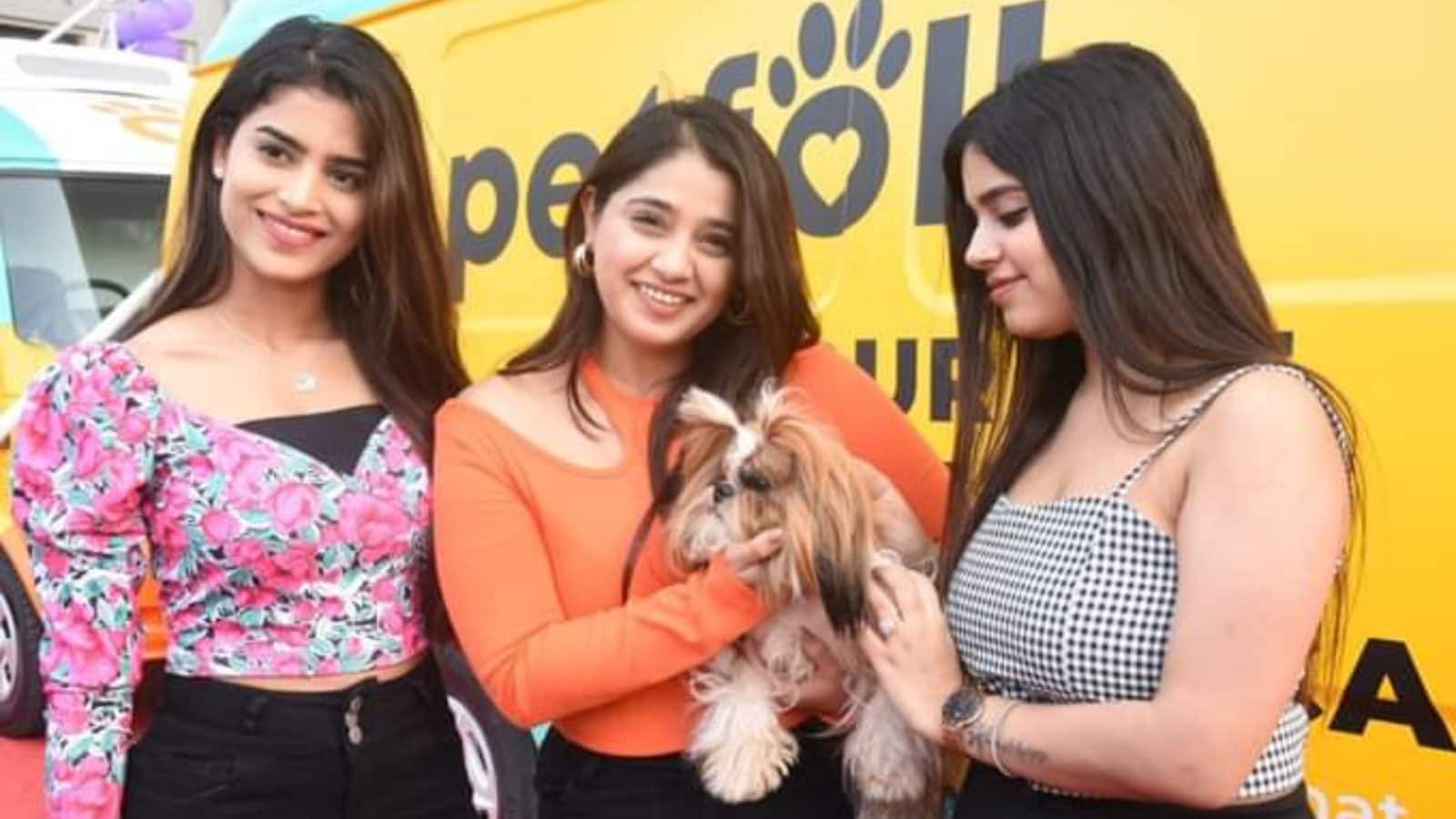 Photos పెంపుడు జంతువుల కోసం మొబైల్ గ్రూమింగ్ వ్యాన్స్ Petfolk