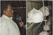 Success Story: కేవలం 6 వేల పెట్టుబడితో 2 లక్షల ఆదాయం.. 76 ఏళ్ల రైతు విజయం