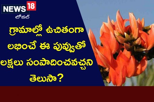 మోదుగ పువ్వులు
