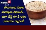 Business Ideas: బొరుగులకు ఏడాది పొడవునా డిమాండ్..  ఇలా చేస్తే రూ.3 లక్షల ఆదాయం గ్యారంటీ