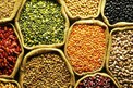 Pulses: పప్పుల ధరలపై కేంద్రం ఫోకస్.. రాబోయే రోజుల్లో తగ్గే అవకాశం