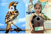 World Sparrow Day: బుల్లి ప్రాణులు.. చిట్టి పిచ్చుకలు.. వీటి గురించి ఈ విషయాలు తెలుసా?