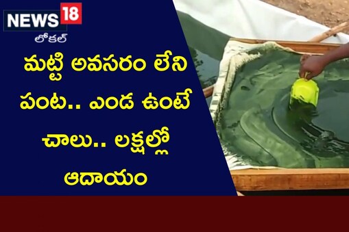 ప్రతీకాత్మక చిత్రం