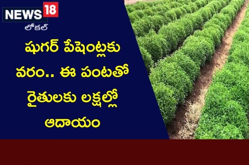 ప్రతీకాత్మక చిత్రం
