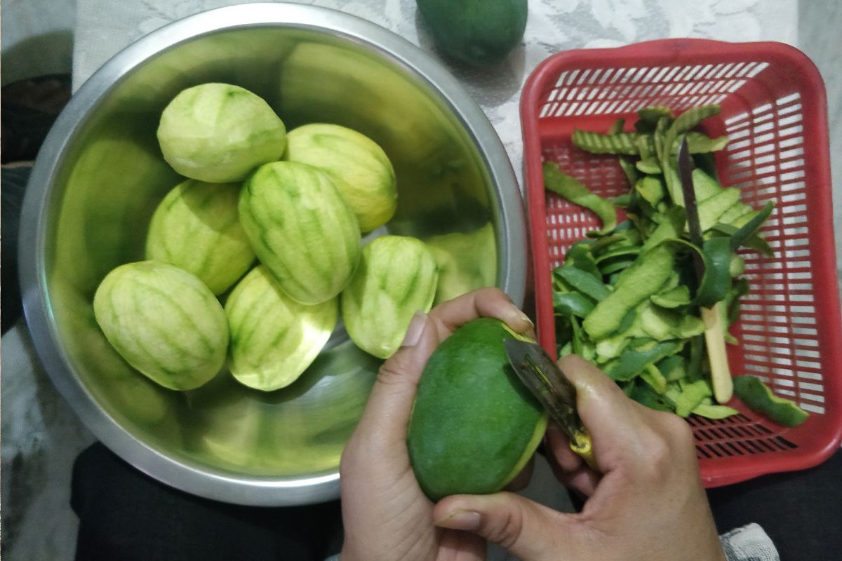 Raw Mango Health Benefits పచ్చి మామిడి కాయలో ఇంత మ్యాటర్ ఉందా