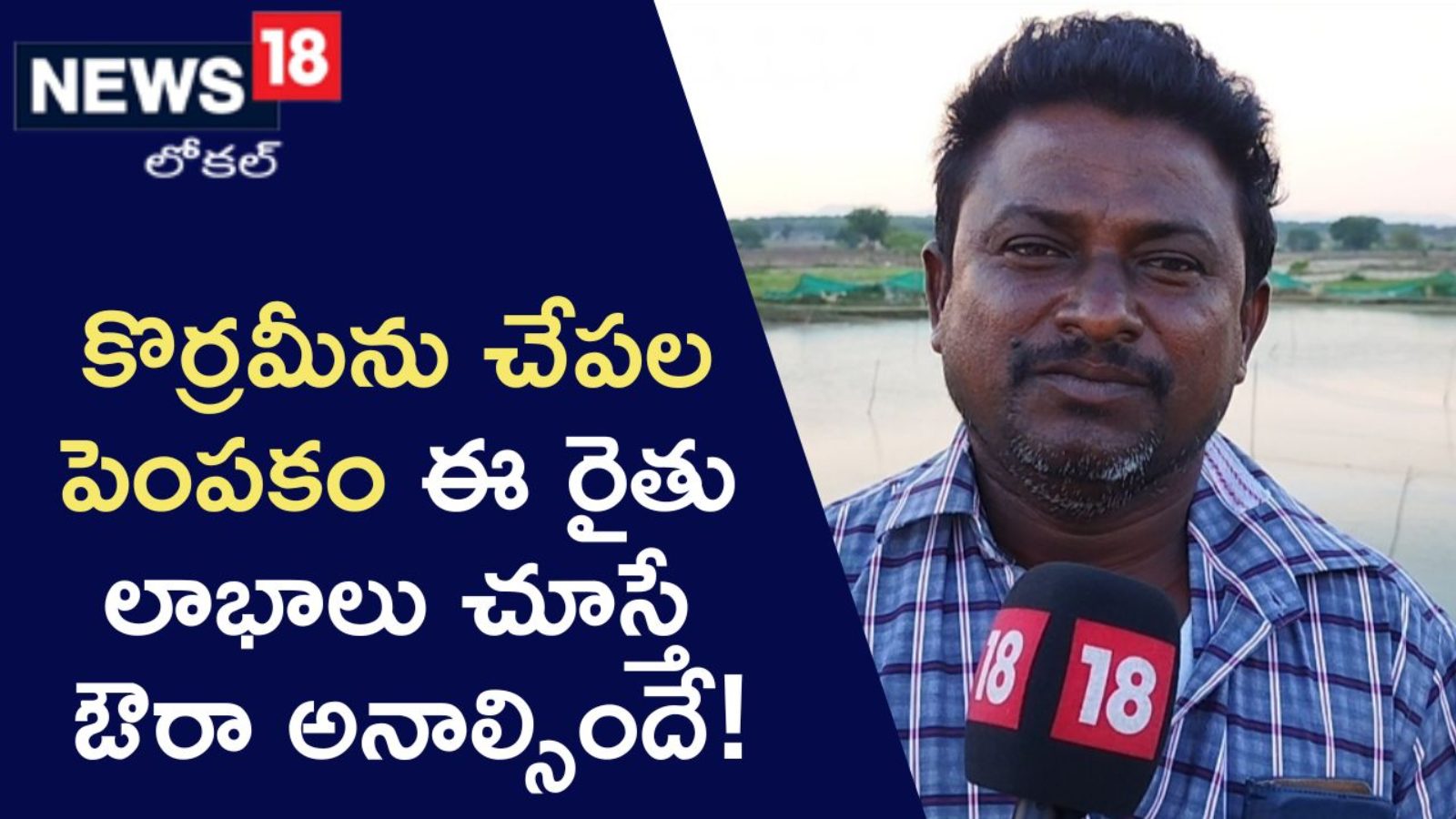 Korraminu fish farming.. Eyecatching profits belong to this farmer