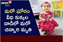 Very Sad: మరోఘోరం.. వీధికుక్కల దాడిలో చిన్నారి మృతి