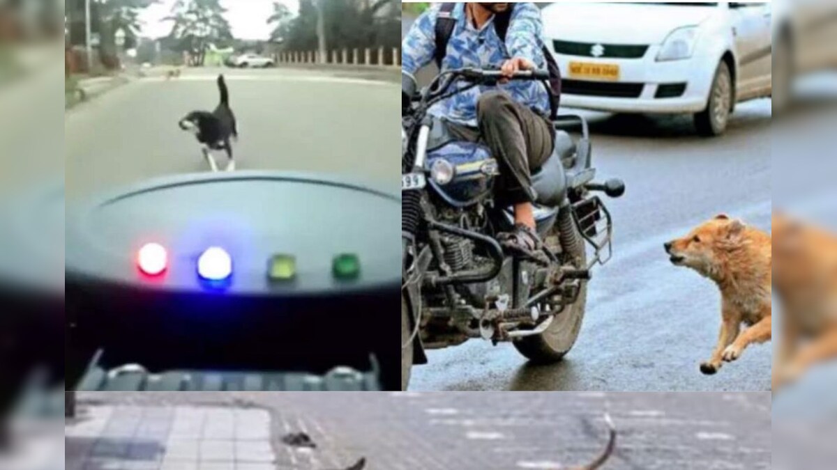 వీధి కుక్కలు ఇక మీ బండి వెంటబడవ్ ..‘అల్ట్రాసోనిక్ డాగ్ రిపెల్లెంట్‌’ను